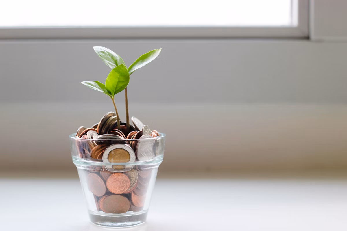 Transformación financiera